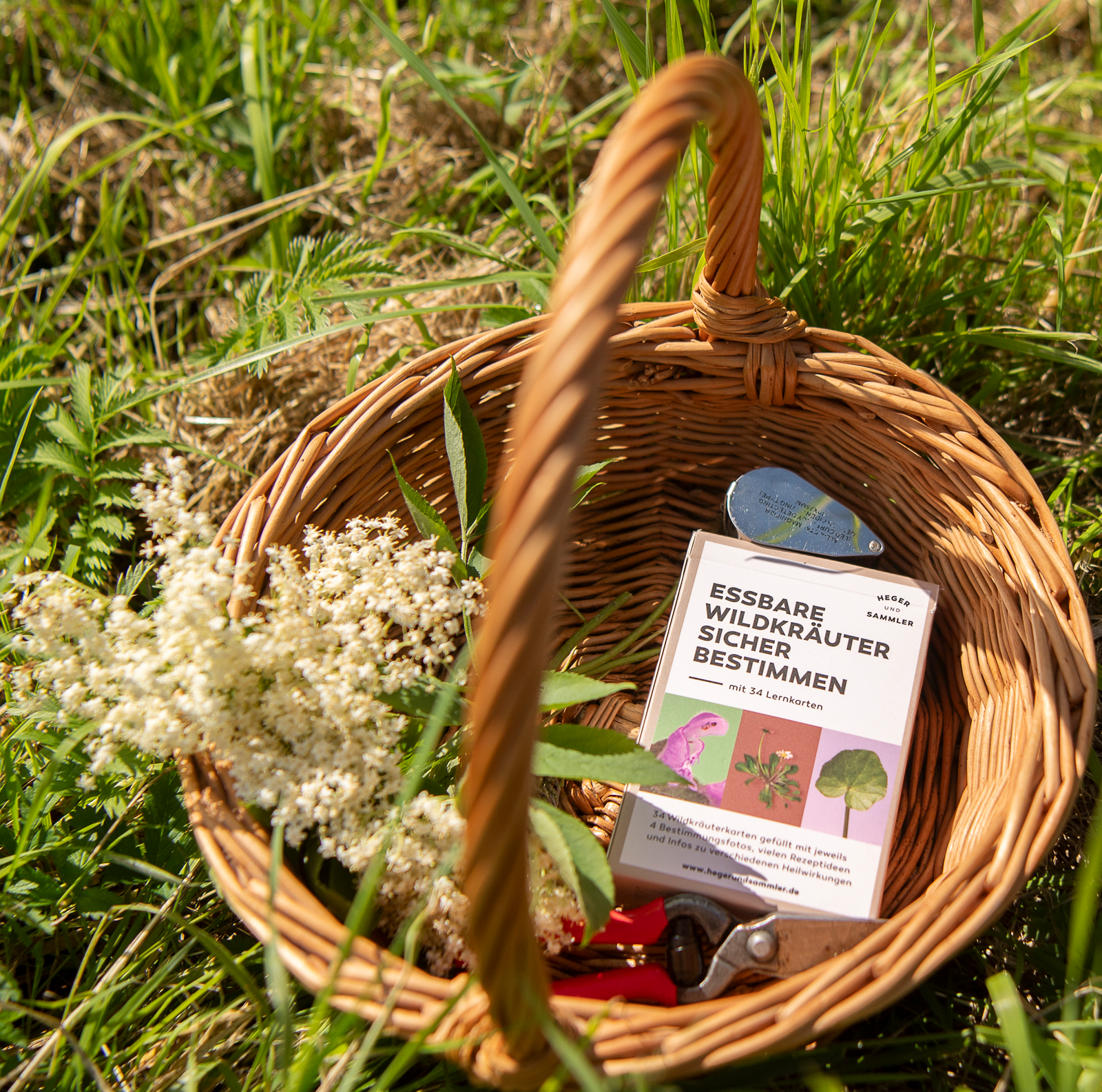 Korb mit Wildkräutern